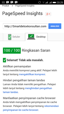 Akhirnya kesampaian juga punya web pagespeed 100/100