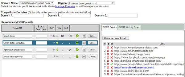Cara menjadi nomor 1 padahal umur website baru seminggu